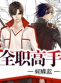  全职高手